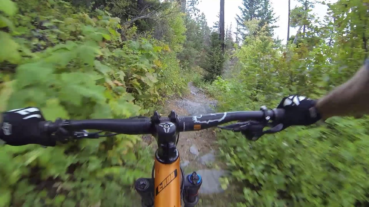 BEARDANCE // Mountain Biking Trail near Kalispell (Montana)
