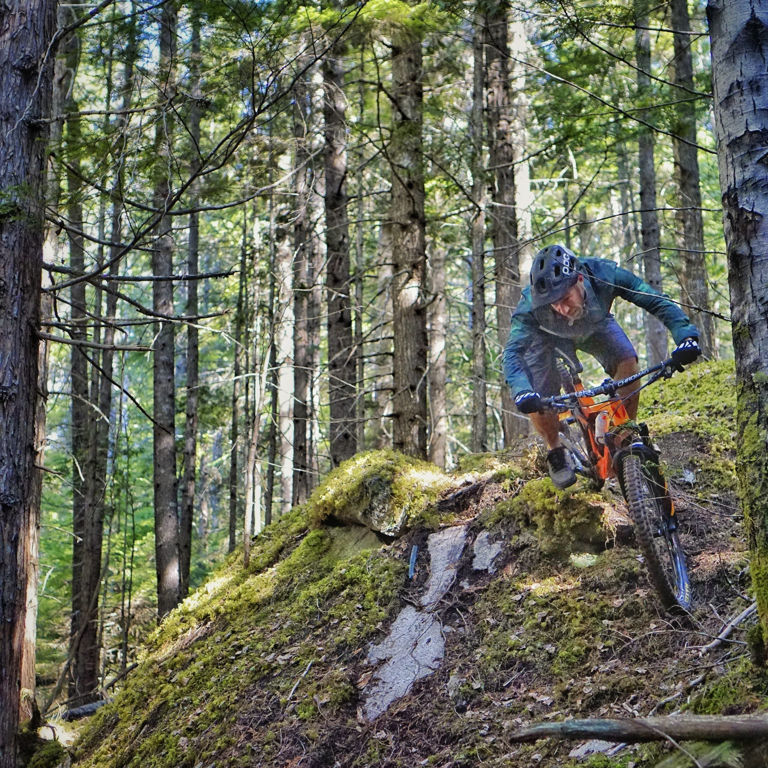 Terrace Mountain Biking Green