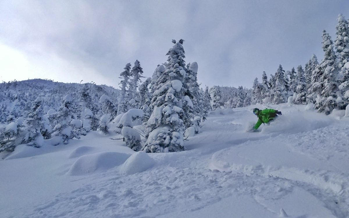 Van Conversion Halfway Through (23-)
